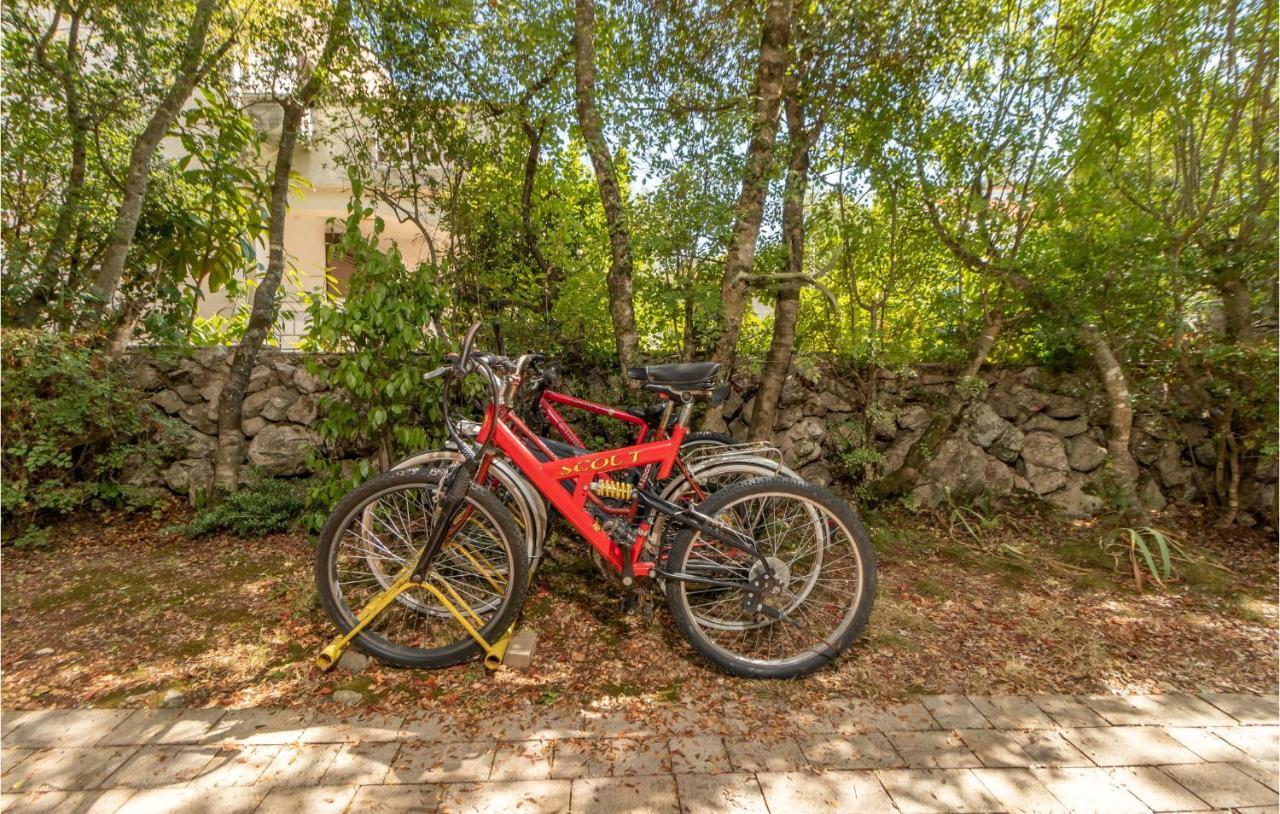 Pet Friendly Apartment In Pinezici With Wifi Exterior photo